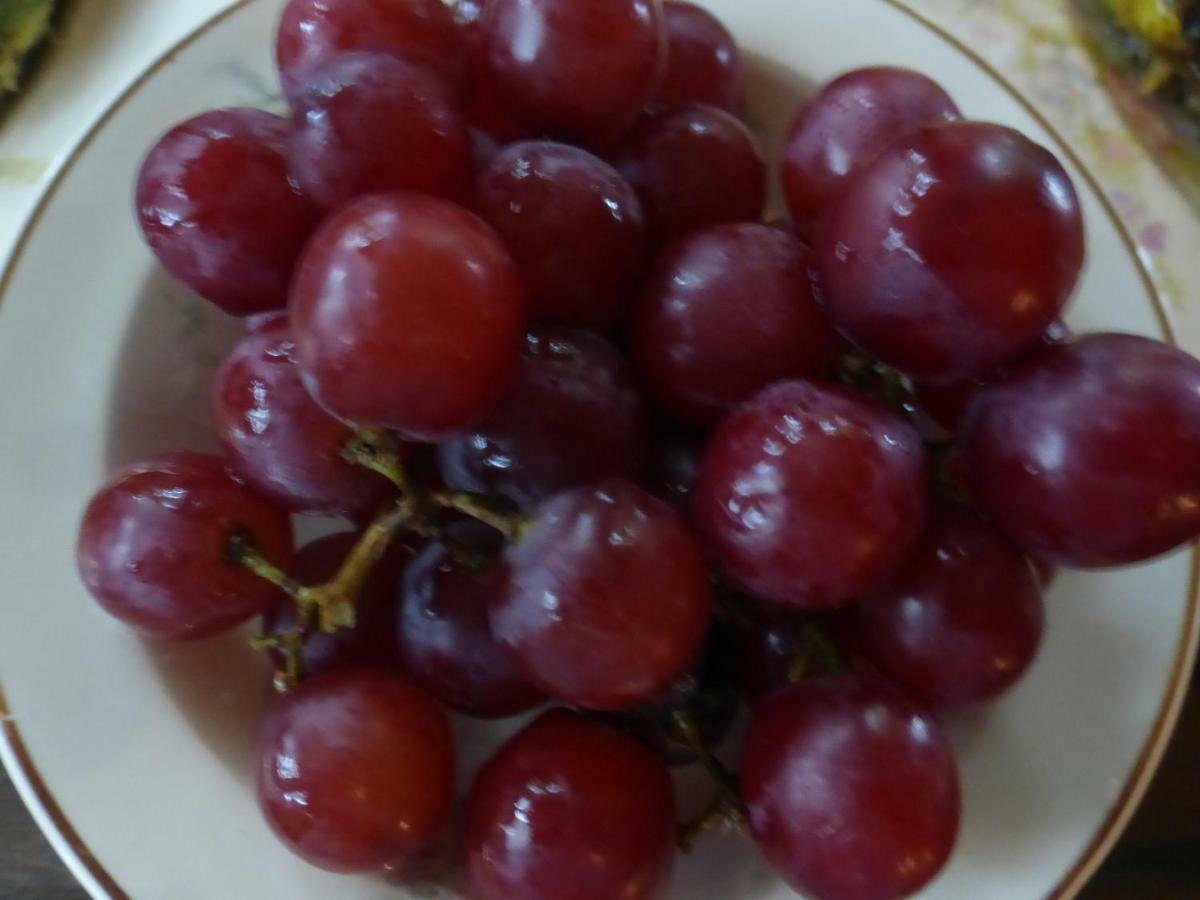 Mulberry Lavender Farm And B&B المظهر الخارجي الصورة